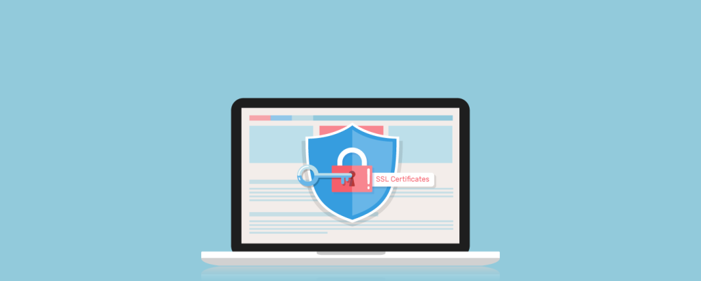 Uses of SSL