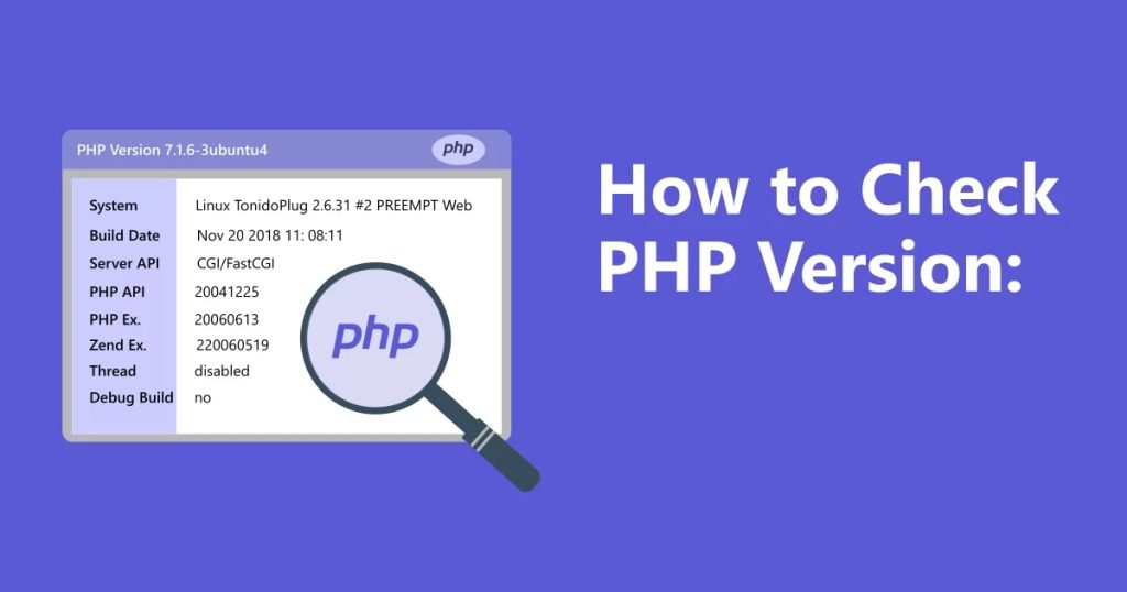 How to Check PHP Version by Running Code